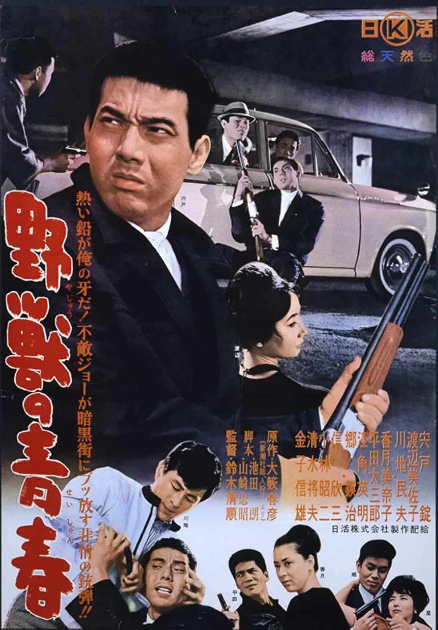 野兽的青春海报