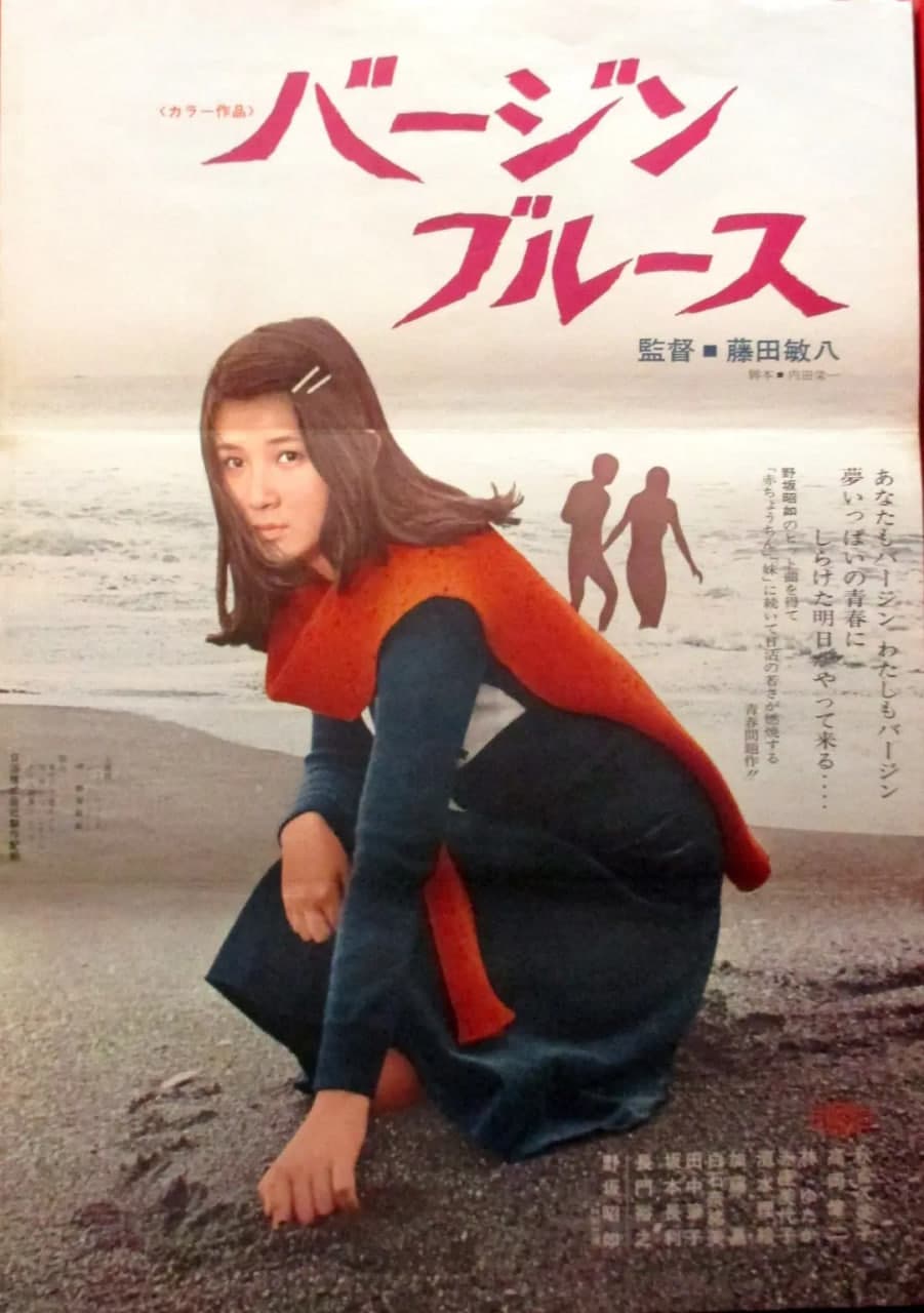 处女布鲁斯海报