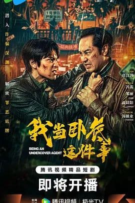 我当卧底这件事海报