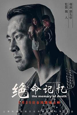 绝命记忆海报