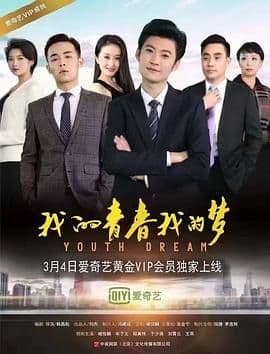 我的青春我的梦海报