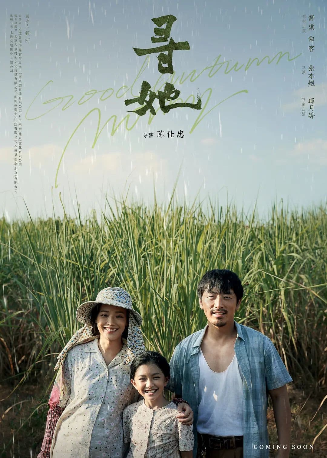 寻她 普通话版海报