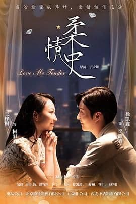 柔情史（2025）海报