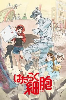 工作细胞第一季（普通话版）海报