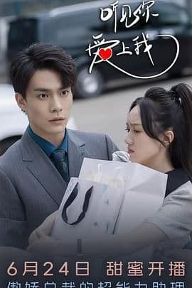 听见你，爱上我海报