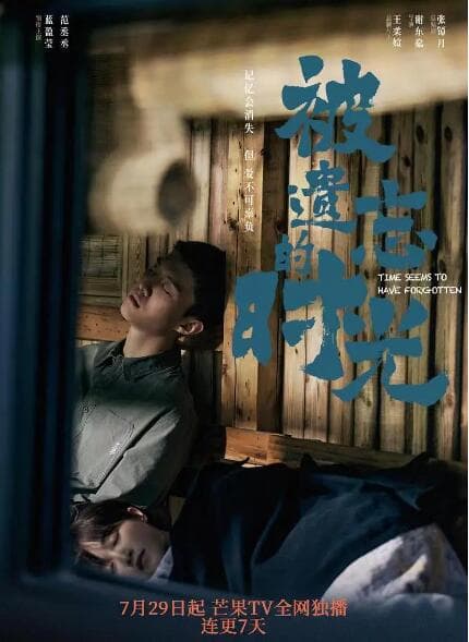 被遗忘的时光海报