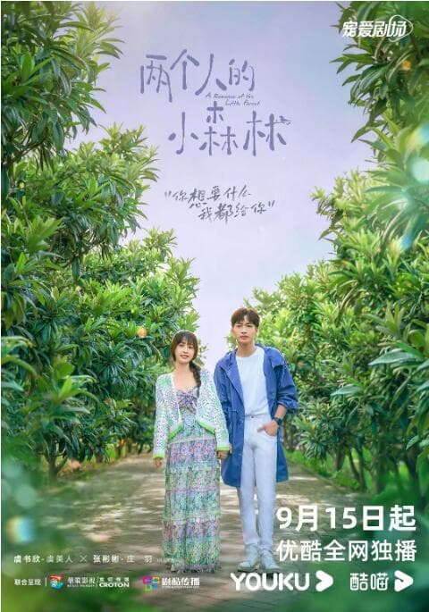 两个人的小森林海报