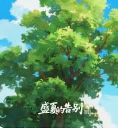 盛夏的告别海报