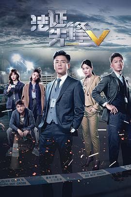 法证先锋5粤语海报