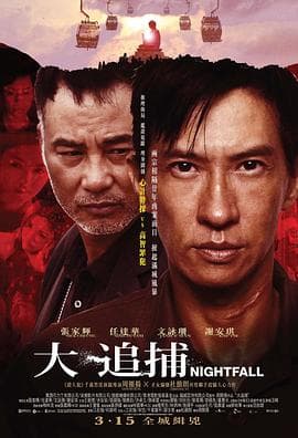 大追捕粤语海报
