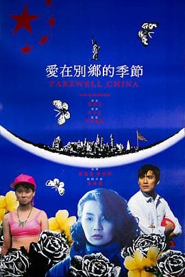爱在别乡的季节国语海报