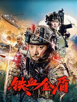 铁血金盾海报