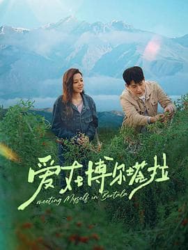 爱在博尔塔拉海报