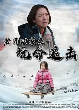 宝贝回家之玩命追击海报