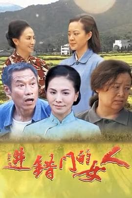 进错门的女人海报
