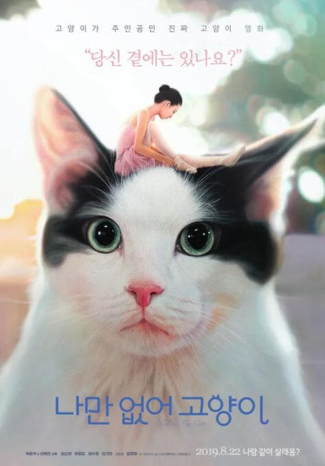 只有我没有猫海报