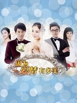 因为爱情有多美海报