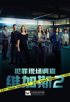 犯罪现场调查：维加斯 第二季海报