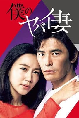 我的危险妻子海报