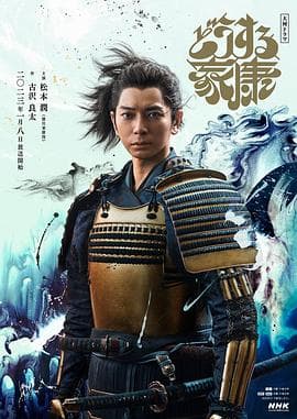 怎么办家康海报
