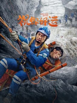 祝你好运 2025海报