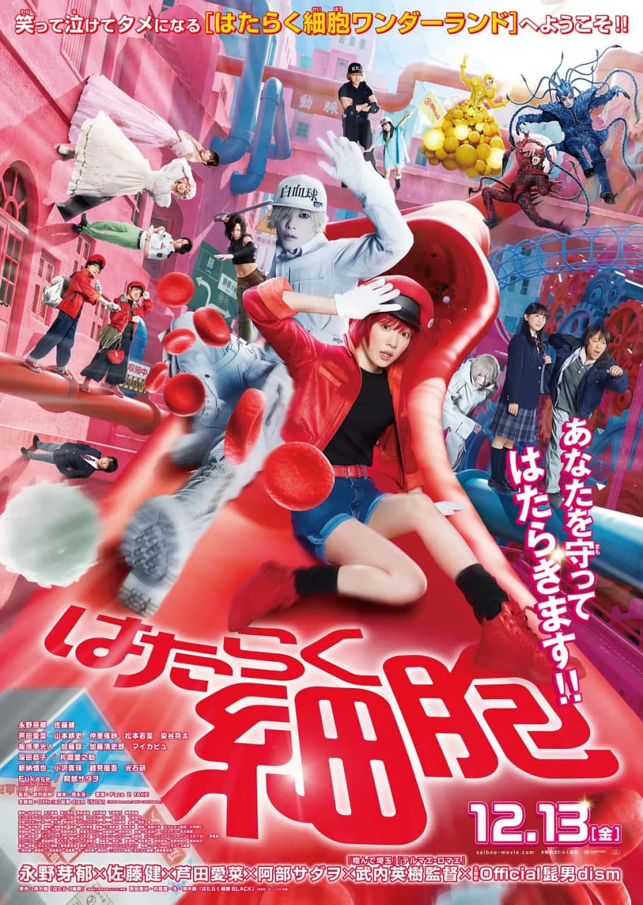 工作细胞海报