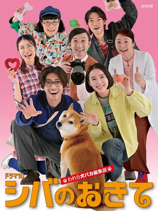 柴犬的规矩～我们这群狗痴编辑部海报