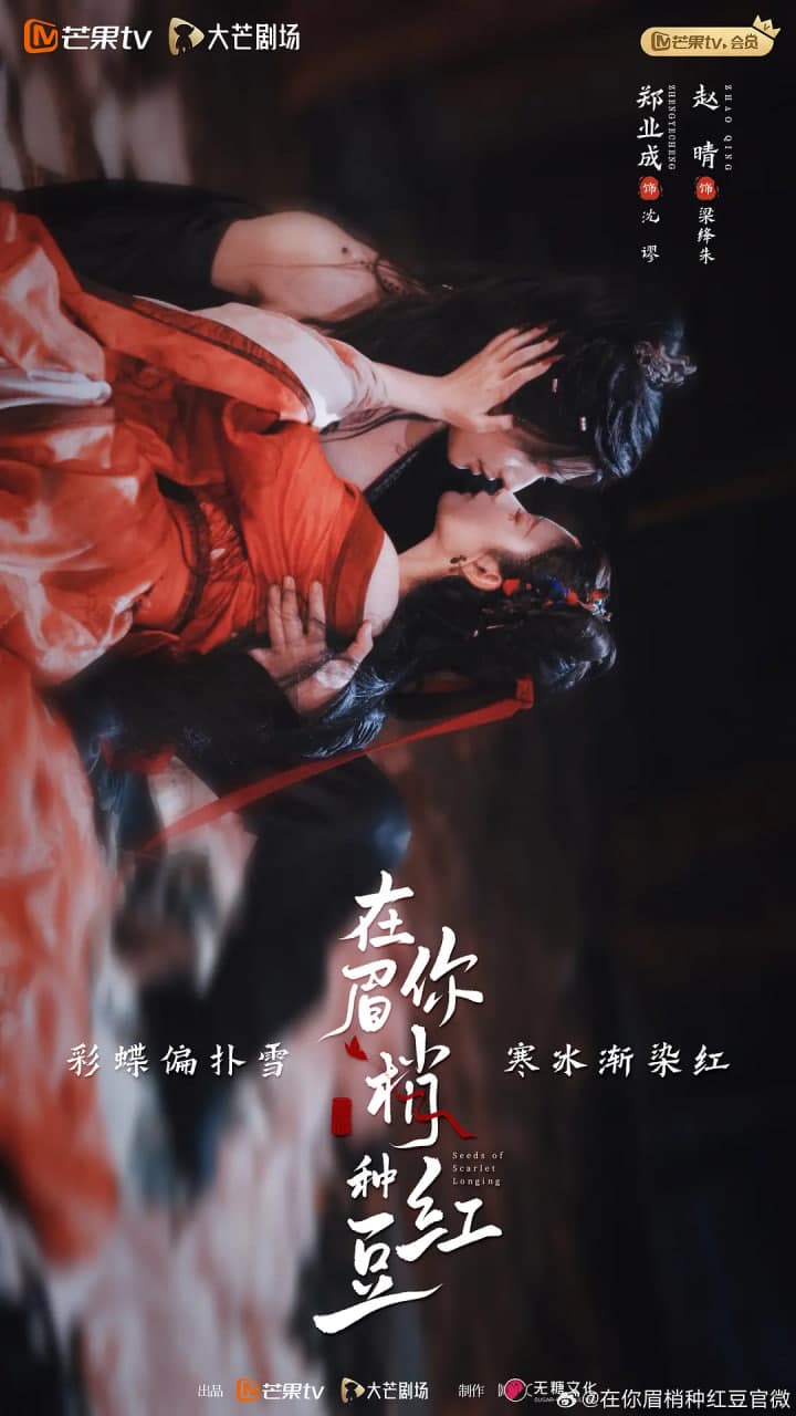 在你眉梢种红豆海报