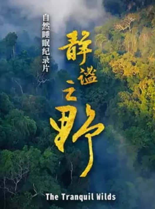 静谧之野海报