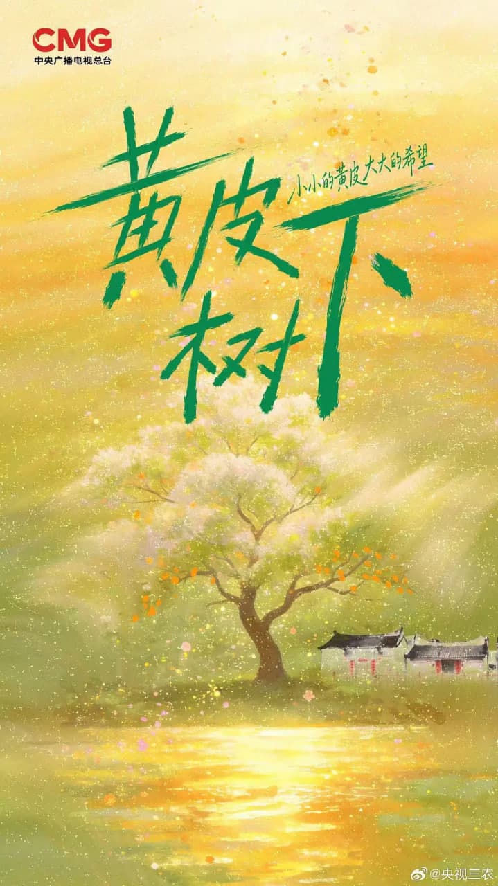 黄皮树下海报