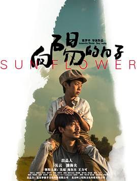 向阳的日子海报
