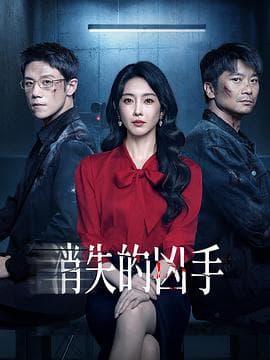 消失的凶手2026海报