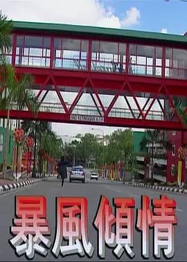 暴风倾情海报