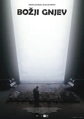 天怒行动海报