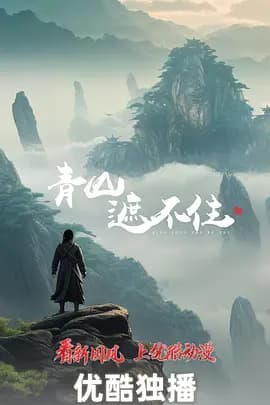 青山遮不住海报
