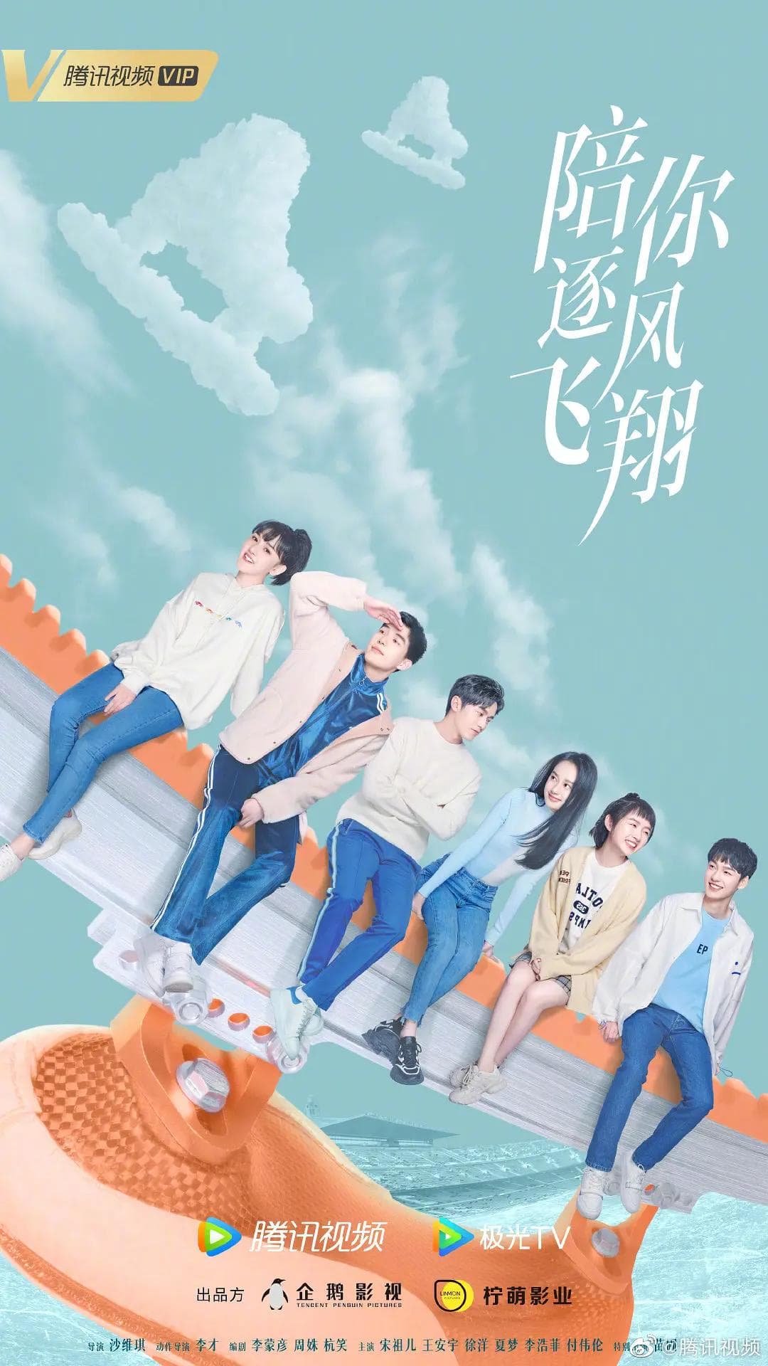 陪你逐风飞翔海报