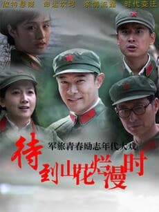 待到山花烂漫时海报