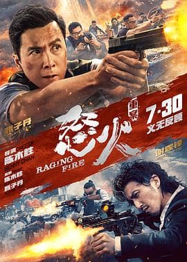 怒火·重案（国语版）海报