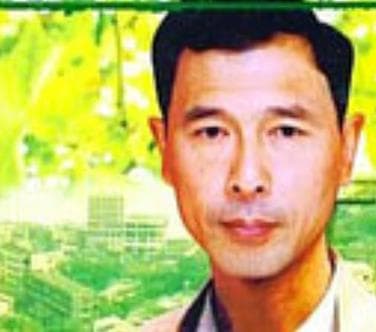 夏季无风海报