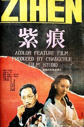 紫痕海报
