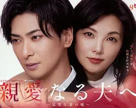 致亲爱的丈夫完美妻子的谎言海报