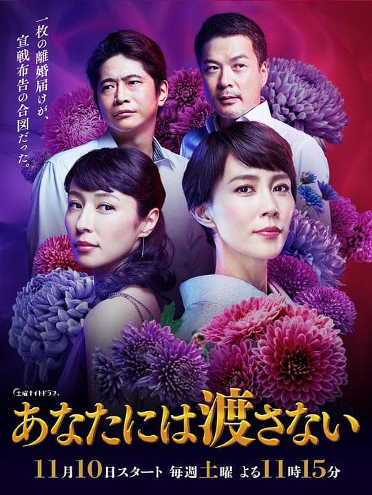 绝不交给你海报