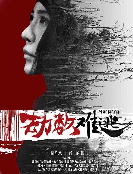 劫数难逃海报