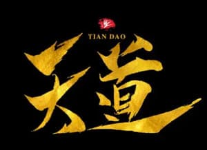 天道2023海报