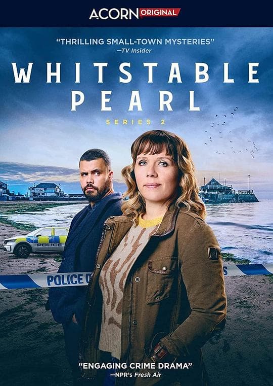 惠镇珀尔侦探社第二季海报