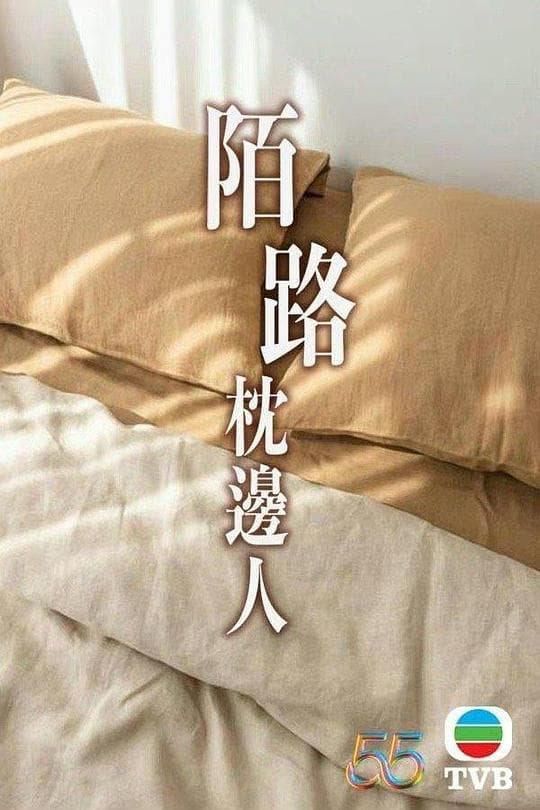 再见枕边人国语海报