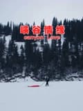 峡谷情缘海报